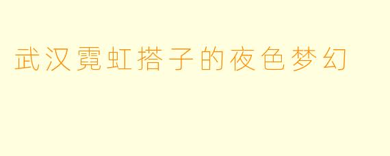 武汉霓虹搭子的夜色梦幻