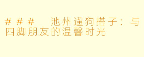 ### 池州遛狗搭子：与四脚朋友的温馨时光