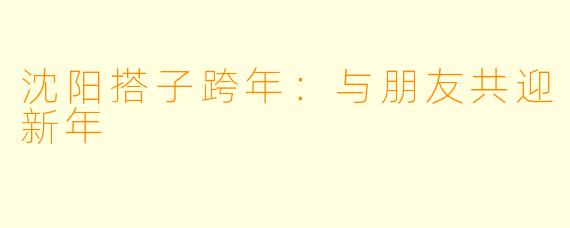 沈阳搭子跨年：与朋友共迎新年