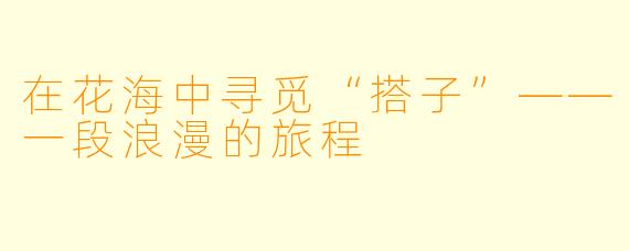 在花海中寻觅“搭子”——一段浪漫的旅程