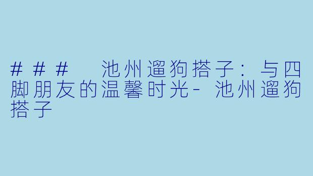 ### 池州遛狗搭子:与四脚朋友的温馨时光