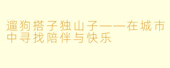 遛狗搭子独山子——在城市中寻找陪伴与快乐