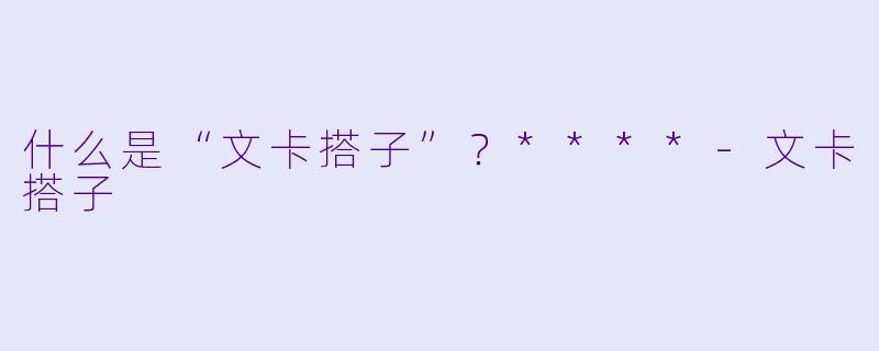 什么是“文卡搭子”?****