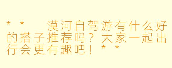 ** 漠河自驾游有什么好的搭子推荐吗?大家一起出行会更有趣吧!**