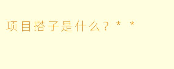 项目搭子是什么？**