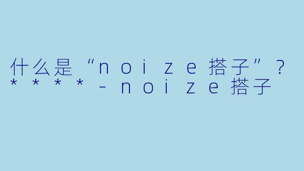 什么是“noize搭子”？****