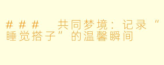 ### 共同梦境：记录“睡觉搭子”的温馨瞬间