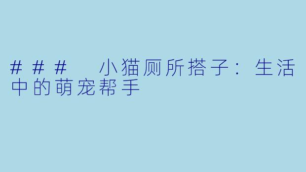 ### 小猫厕所搭子：生活中的萌宠帮手