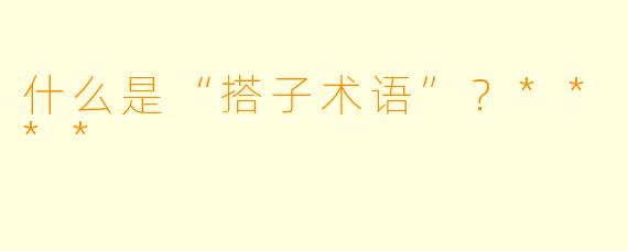 什么是“搭子术语”?****