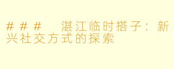 ### 湛江临时搭子：新兴社交方式的探索