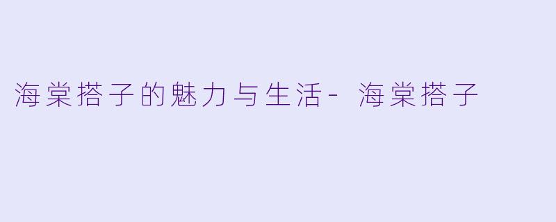 海棠搭子的魅力与生活-海棠搭子