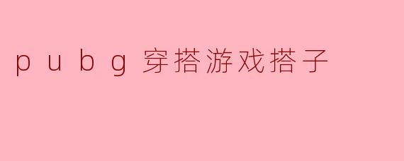 pubg穿搭游戏搭子