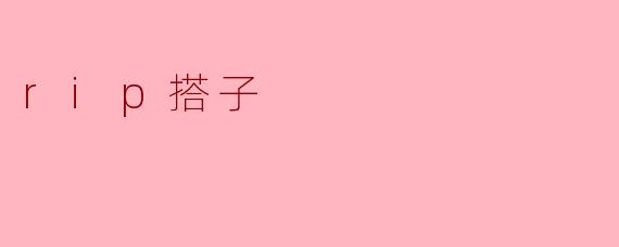 rip搭子