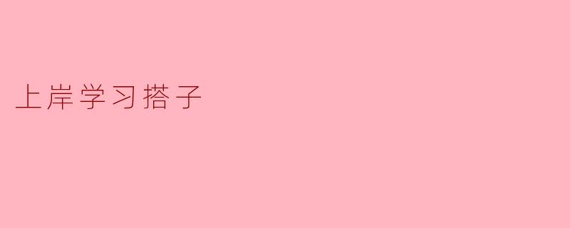 ### 寻找“上岸学习搭子”:共同奋斗,共享成长