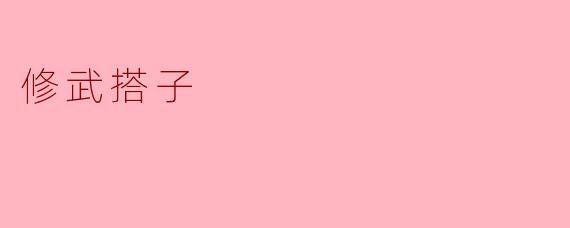 修武搭子是什么?****