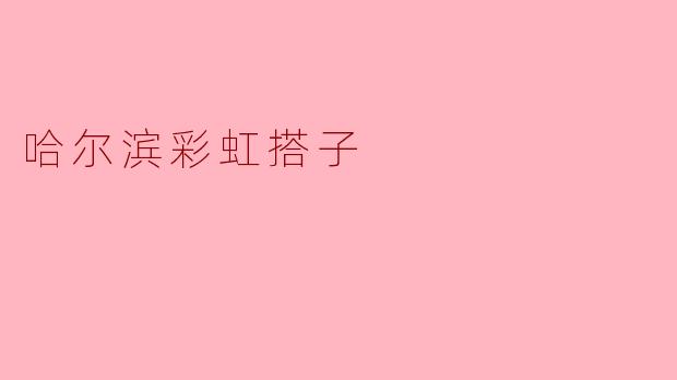 哈尔滨彩虹搭子:多彩生活的新伙伴