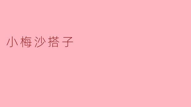 ### 小梅沙搭子的奇妙之旅