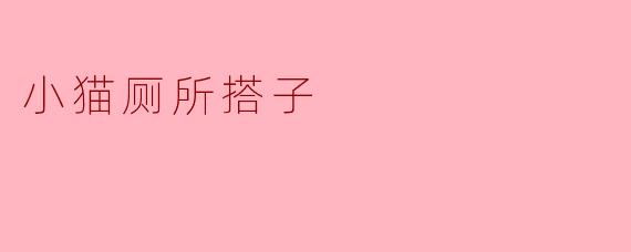 ### 小猫厕所搭子:生活中的萌宠帮手