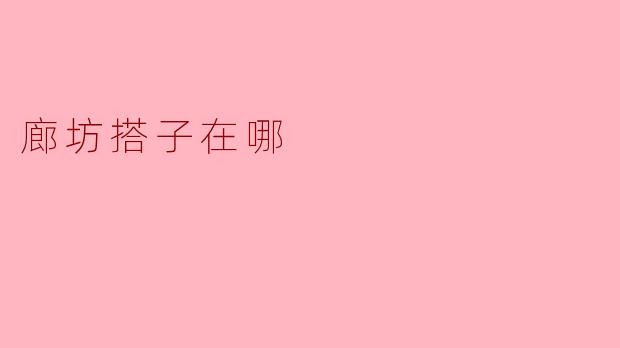 廊坊搭子在哪