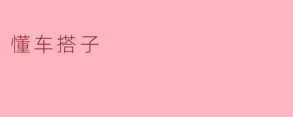 懂车搭子