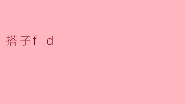 搭子fd