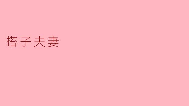 搭子夫妻