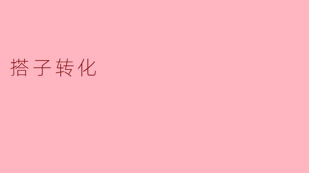 搭子转化