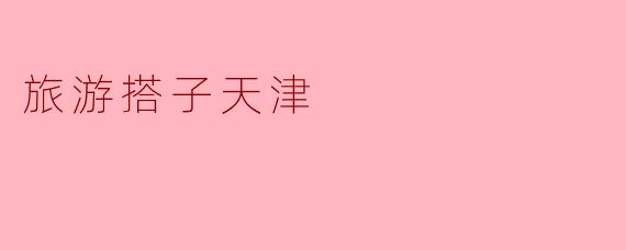 旅游搭子天津
