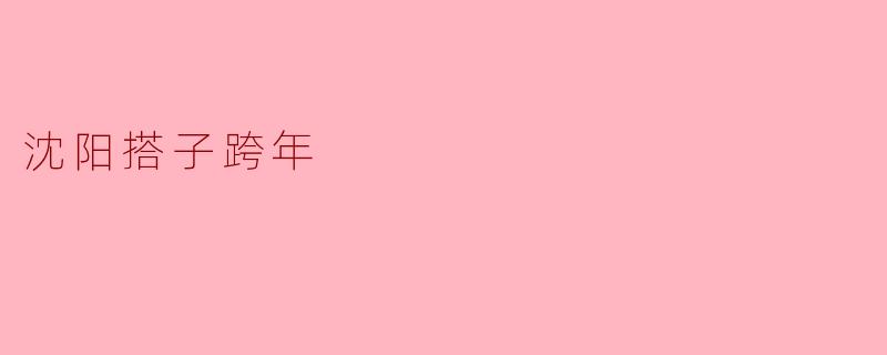 沈阳搭子跨年