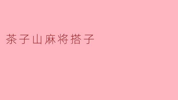 茶子山麻将搭子