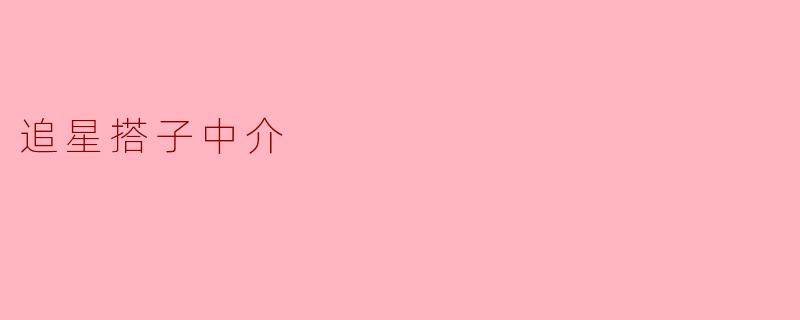 追星搭子中介