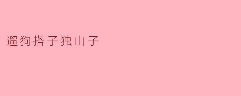 遛狗搭子独山子