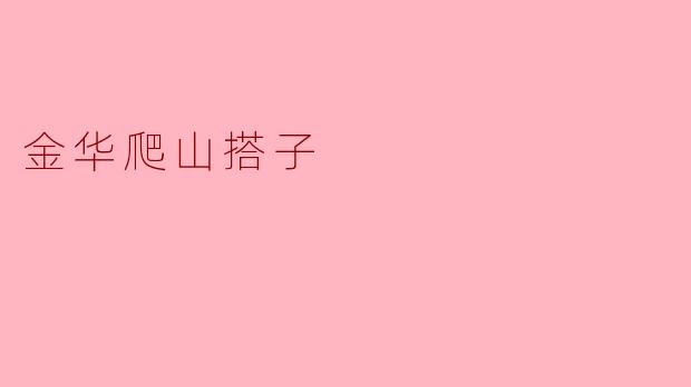 金华爬山搭子:青春的力量与友谊的纽带