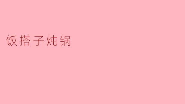 ### 饭搭子炖锅——家庭聚餐的得力助手