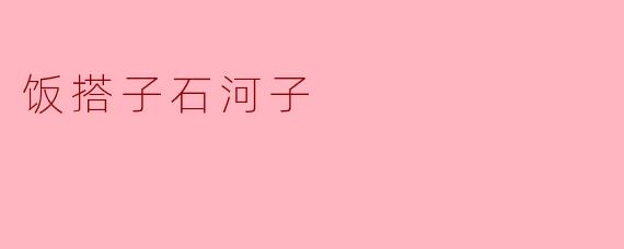 饭搭子石河子