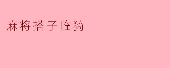 麻将搭子临猗:悠闲的社交文化