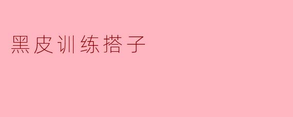 ### 探索黑皮训练搭子的魅力与效果
