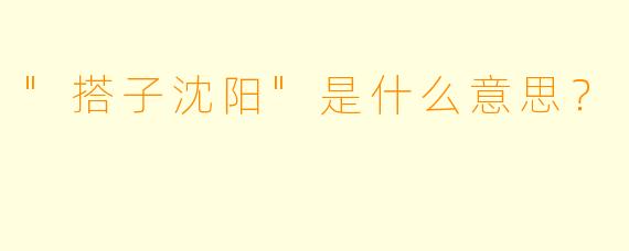 "搭子沈阳"是什么意思?