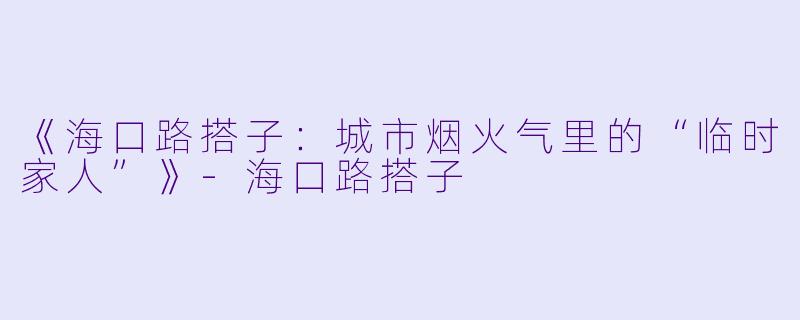 《海口路搭子：城市烟火气里的“临时家人”》-海口路搭子