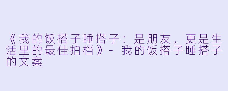 《我的饭搭子睡搭子:是朋友,更是生活里的最佳拍档》
