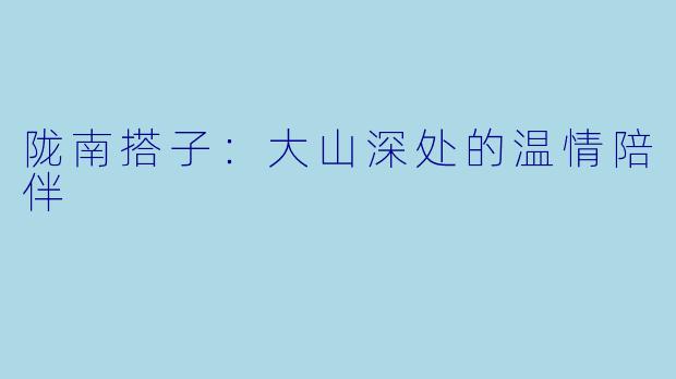 陇南搭子：大山深处的温情陪伴