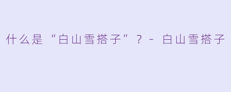 什么是“白山雪搭子”？