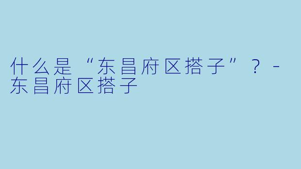 什么是“东昌府区搭子”？