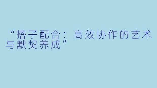 “搭子配合：高效协作的艺术与默契养成”