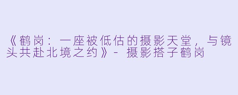 《鹤岗：一座被低估的摄影天堂，与镜头共赴北境之约》-摄影搭子鹤岗
