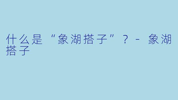 什么是“象湖搭子”?