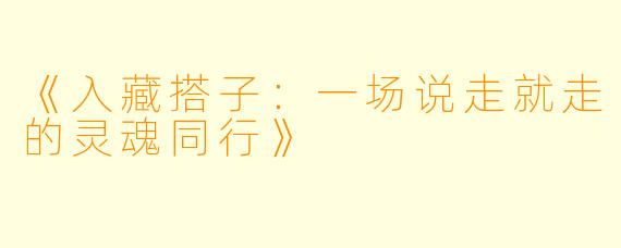 《入藏搭子：一场说走就走的灵魂同行》