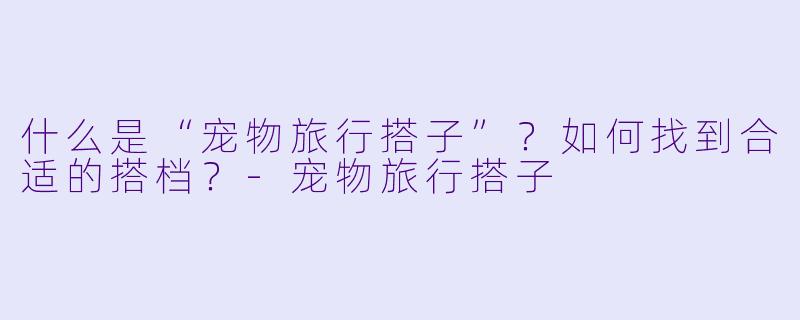 什么是“宠物旅行搭子”？如何找到合适的搭档？