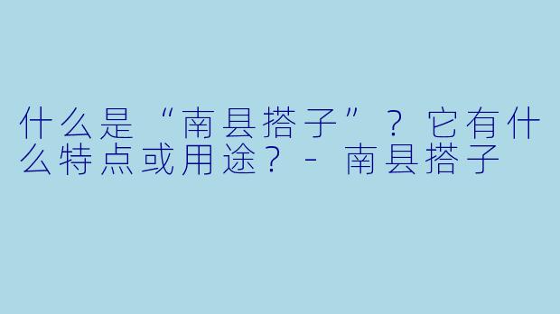 什么是“南县搭子”？它有什么特点或用途？