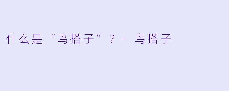 什么是“鸟搭子”？